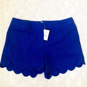 NWT JCrew scallop shorts
